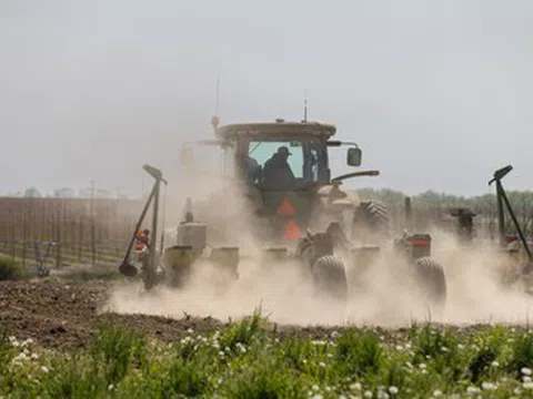 Không chỉ dầu khí, căng thẳng ở eo biển Hormuz đang làm rung chuyển một mặt hàng thiết yếu khác