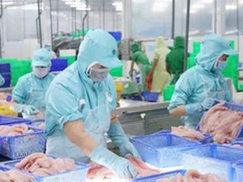 Triển vọng tích cực cho xuất khẩu cá tra của Việt Nam sang Canada