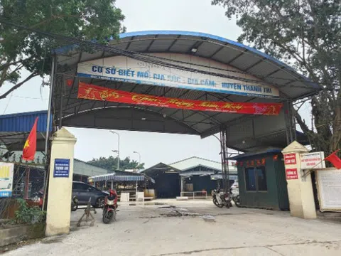 Đường dây “thịt lợn bẩn” 300 tấn tuồn vào trường học: Trạm trưởng "bảo kê" vì lương thấp?