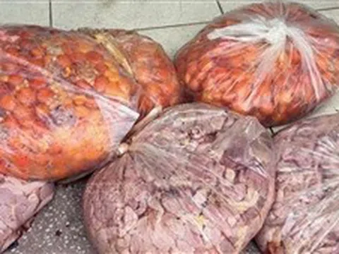 Bắt giữ gần 1 tạ thực phẩm bẩn vận chuyển qua biên giới