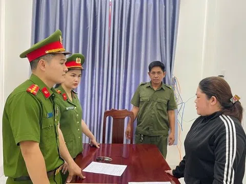 Bắt nữ giám đốc công ty xây dựng trốn thuế hơn 700 triệu đồng