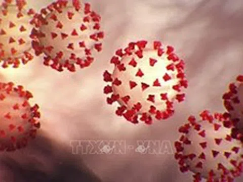 Giới chuyên gia nhận định mức độ nguy hiểm của biến thể mới virus SARS-CoV-2