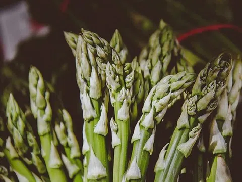 Loại rau được quốc tế ca ngợi “tốt nhất thế giới”, người Việt ăn thường xuyên mà không hay