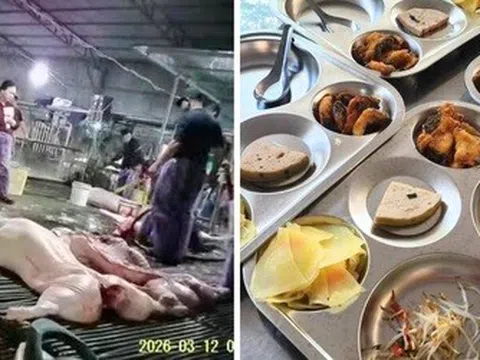 Thực phẩm bẩn, chuyện không chỉ ở nhà trường...