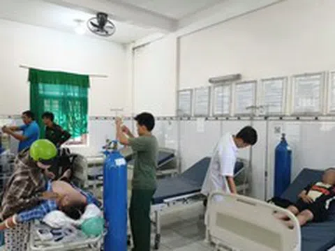 Ba người bị ong đốt khi đi tảo mộ, phải cấp cứu khẩn