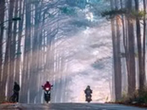 Những cung đường bồng bềnh Đà Lạt mùa săn mây