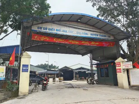 Đường dây “thịt lợn bẩn” 300 tấn tuồn vào trường học: Trạm trưởng "bảo kê" vì lương thấp?