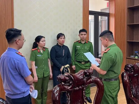 "Hứa lèo" để chiếm đoạt gần 500 triệu đồng, người phụ nữ bị bắt