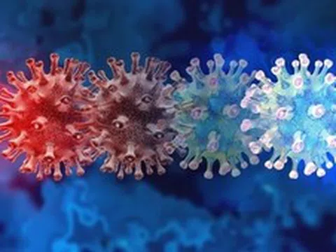 Bộ Y tế thông tin về biến thể SARS-CoV-2 BA.3.2