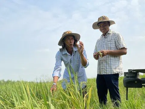 Đổi mới quy định công nhận nông thôn mới giai đoạn 2026-2030