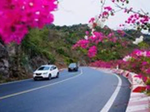 Cung đường Cát Bà đẹp như mơ