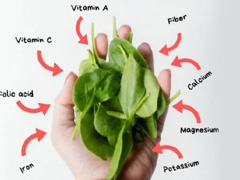 2 loại rau cực bổ mắt, hễ ra chợ là thấy bán