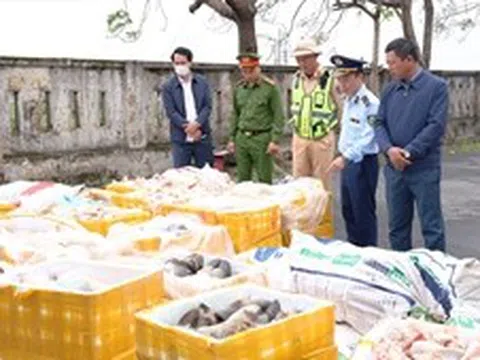Phát hiện, tiêu hủy hơn 2,6 tấn nội tạng động vật không rõ nguồn gốc