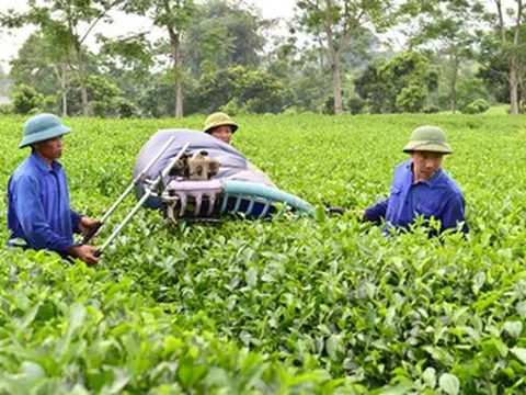 Định hướng nông nghiệp bền vững để thúc đẩy tăng trưởng kinh tế