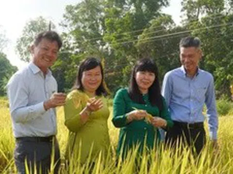 'Bón đúng, bón ít' – Triết lý làm nông nghiệp tử tế của một doanh nghiệp phân bón