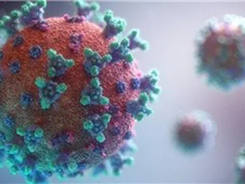 Kịp thời cứu chữa hai bé trai nguy kịch do chủng virus EV71 gây ra