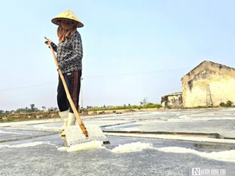 Phơi mình dưới nắng gắt sản xuất "vàng trắng"