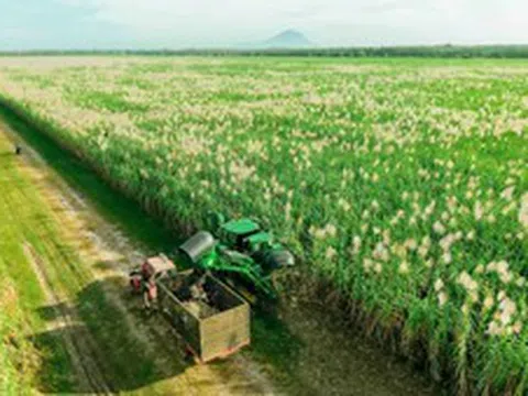 Nghị quyết 79: Làn gió mới cho “hệ sinh thái công – tư đồng hành”