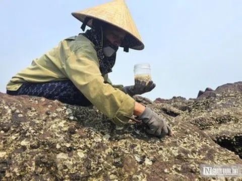 Đục đá "hái tiền" - Nghề độc lạ ở Nghệ An