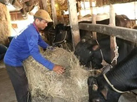 Mở rộng nguồn vốn hỗ trợ người dân