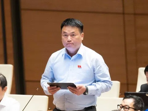 ĐBQH lo học sinh, giáo viên kiệt sức vì chạy theo thành tích, điểm số