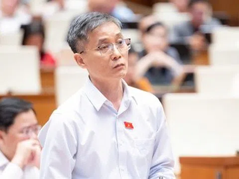 Thí điểm luật sư công tại 8 bộ, 10 địa phương: Cần một cơ quan điều phối chung để hiệu quả