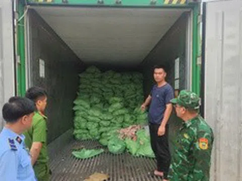 Quảng Ninh: Thu giữ hơn 25 tấn thực phẩm đông lạnh không rõ nguồn gốc