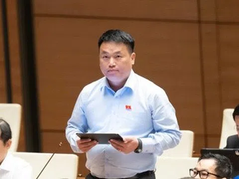 ĐBQH lo học sinh, giáo viên kiệt sức vì chạy theo thành tích, điểm số