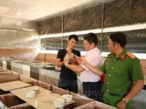 Vốn chính sách tiếp sức người hoàn lương vươn lên làm kinh tế