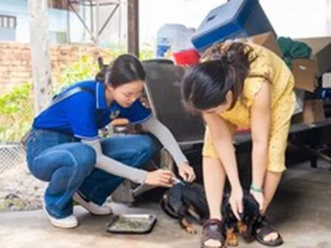 TP Hồ Chí Minh tăng cường phòng, chống bệnh dại trong cao điểm nắng nóng