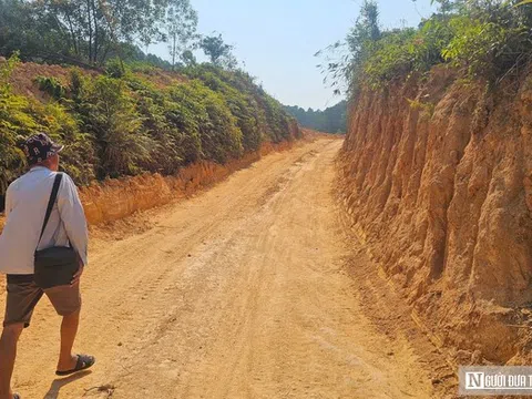 Chủ rừng kiến nghị cho tiếp tục khai thác gần 40ha rừng không hồ sơ pháp lý ở Huế