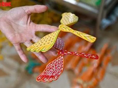 Chuồn chuồn tre ‘lên mạng’
