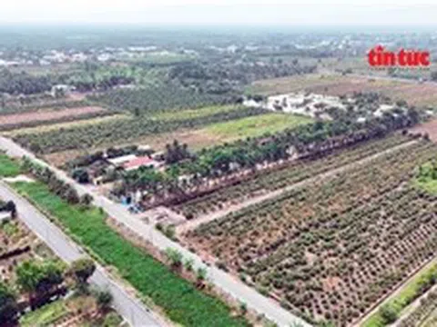 Đất nền giá rẻ trên đất nông nghiệp: Cẩn trọng mất tiền oan