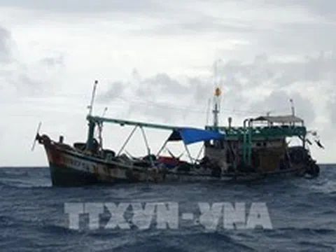 Tạm giữ tàu chở 10.000 lít dầu DO không rõ nguồn gốc