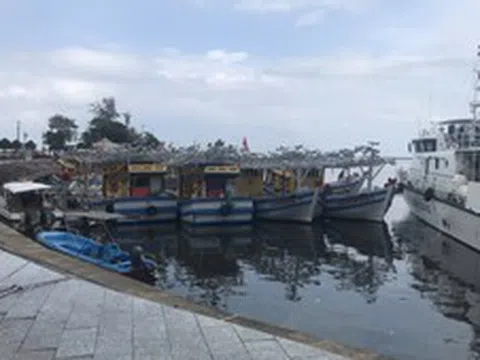 Tăng tốc gỡ 'thẻ vàng' IUU: An Giang hỗ trợ tới 11 triệu đồng lắp đặt thiết bị tàu cá