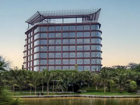 Cổ phiếu OCH tăng trần 4 phiên liên tiếp nhờ kế hoạch M&A, lập đỉnh gần một năm