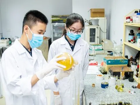Đạo văn, dữ liệu giả có thể bị cấm tham gia nhiệm vụ khoa học vô thời hạn