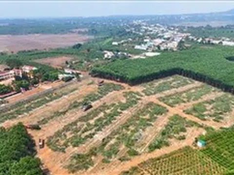 Tái định cư đồng bộ để giữ tiến độ cao tốc Quy Nhơn – Pleiku