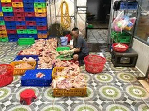 TP Hồ Chí Minh: Phát hiện điểm giết mổ gia cầm trái phép, buộc xử lý gần 1 tấn gà
