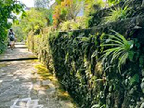 Lạc vào làng cổ Lộc Yên, nơi có cổng ngõ, bờ rào bằng đá trăm năm tuổi xếp chồng độc đáo