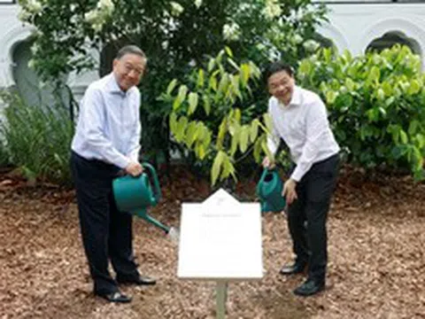Tổng Bí thư, Chủ tịch nước Tô Lâm trồng cây tại Vườn Bách thảo Singapore