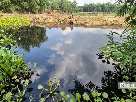 Sông Vàm Cỏ Đông đổi màu đen: Điều gì đang xảy ra?