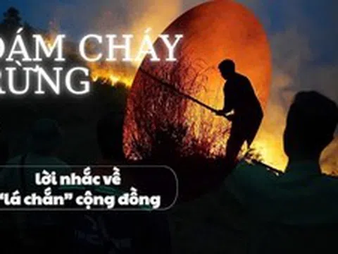Đám cháy rừng và lời nhắc về ‘lá chắn’ cộng đồng