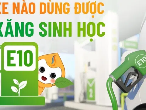 Xăng E10 bán đại trà, các hãng công bố mẫu xe tương thích và chế độ bảo hành