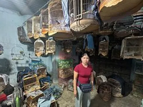 Phát hiện hơn 430 cá thể động vật hoang dã nuôi nhốt trái phép tại TP Hồ Chí Minh