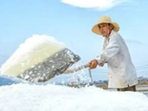 Diêm dân 'cõng nắng' mưu sinh trên cánh đồng muối cuối cùng dưới chân đèo Ngang