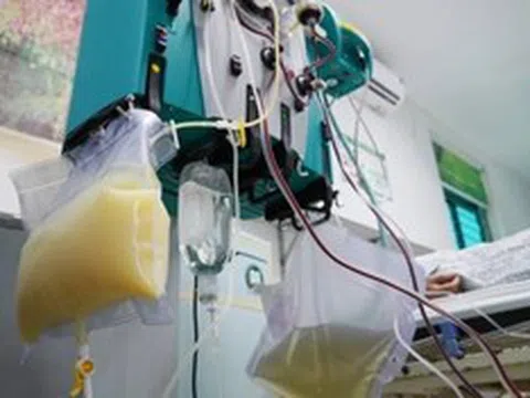 Người phụ nữ 27 tuổi "máu trắng như sữa", bác sĩ điểm mặt chỉ tên thói quen ăn uống "cực độc"