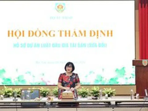Tiếp tục nghiên cứu siết chế tài với hành vi "bỏ cọc" khi đấu giá