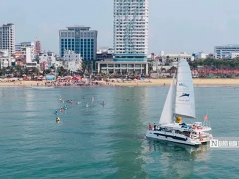 Hơn 10 năm dùng chung cảng cá, tuyến du lịch Cù Lao Xanh sắp có bến riêng