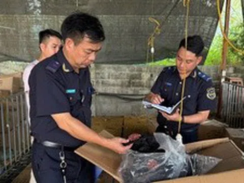 Hải quan quyết liệt chống buôn lậu, hàng giả và ma túy